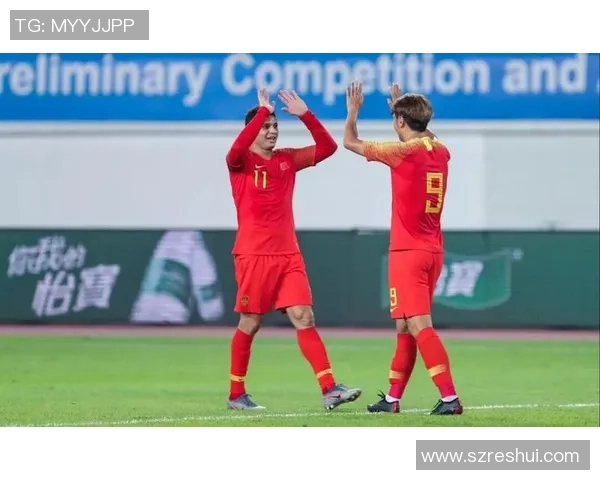 《绿茵传奇 足球巨星的奋斗与荣耀》